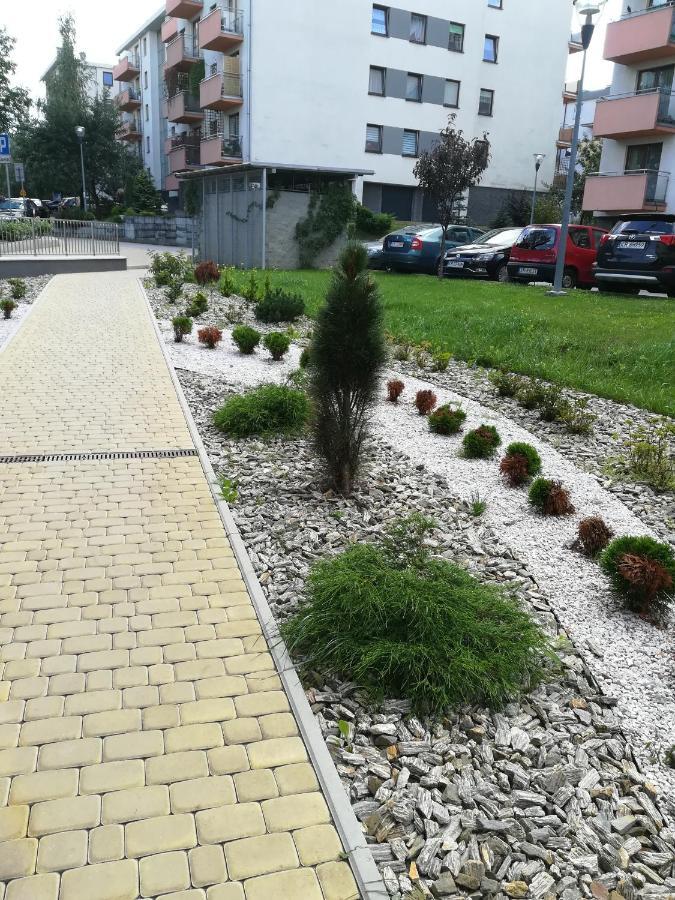Апартаменти Apartament Wloska 4 Краків Екстер'єр фото